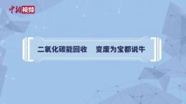 變廢為寶新路徑！ 中國科學(xué)家實(shí)現(xiàn)二氧化碳合成葡萄...